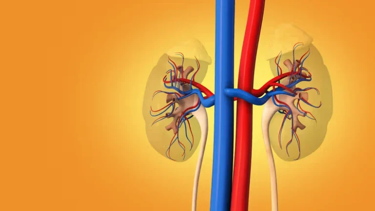 Best Diet for Kidney Disease Prevention